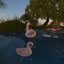 Thumb 551c6afaa73e216385000001