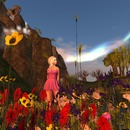 Thumb 551c6c75128cc91791000001