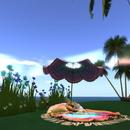 Thumb 5daafebed9859c6450000001