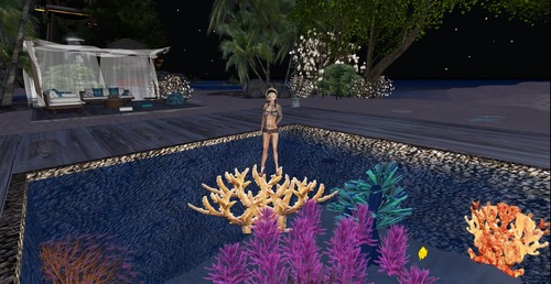 Web 516c123c39b4be3d3a000001