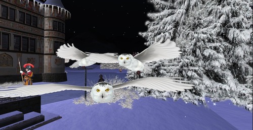 Web 516c50d184707d127c000001