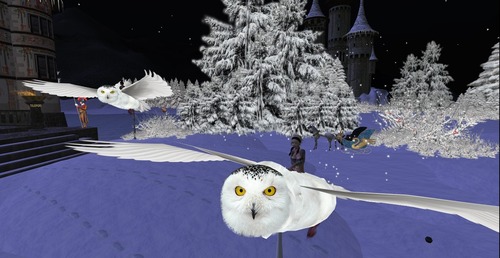 Web 516c516c0d523254ea000001