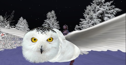 Web 516c51fea6757b0461000001