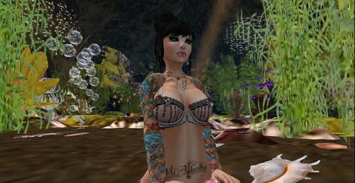 Web 516dc5001066c534f3000001