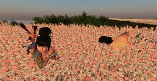 Web 516eddb4205bbf4b0c000001