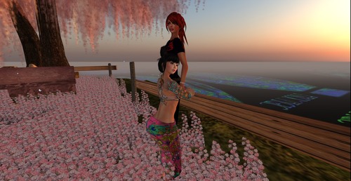 Web 516f1f809079fc6880000001