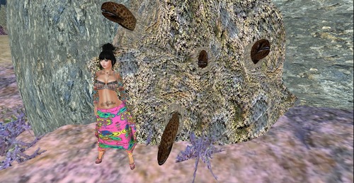 Web 516f232774a21029c6000001