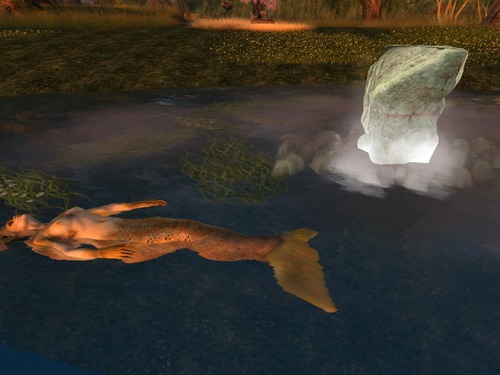 Web 551c6abd128cc90cb3000001