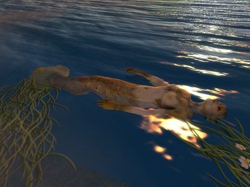 Web 551c6ae6f8a1ec1c26000001