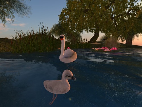 Web 551c6afaa73e216385000001