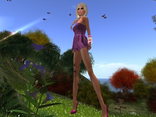 Web 551d062ba73e216fee000001