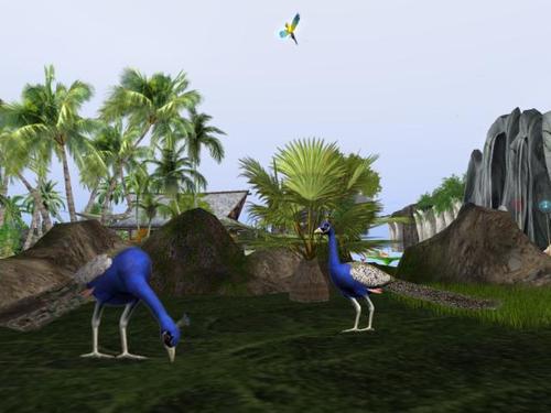 Web 5daaf0d4d9859c2354000001