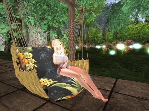 Web 5daaf46e289dd23c2b000001