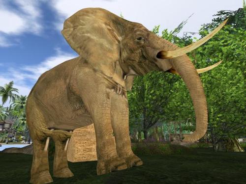 Web 5daafbe3d9859c5371000001