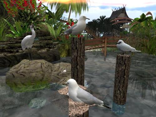 Web 5daafe49d774f8664b000001