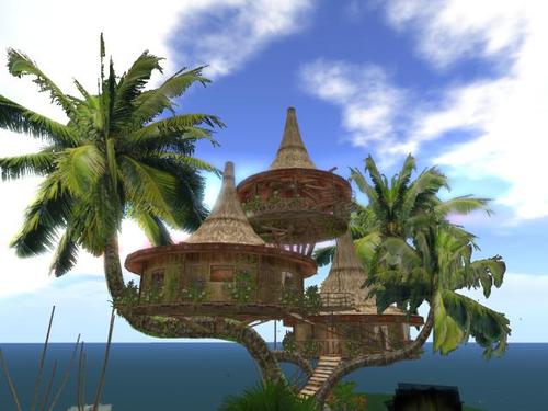 Web 5daafe77d774f868de000001