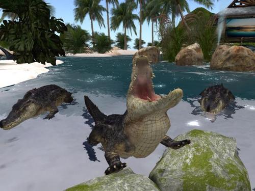 Web 5dab010873ed170d4c000001