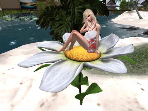 Web 5dab015fd9859c7292000001