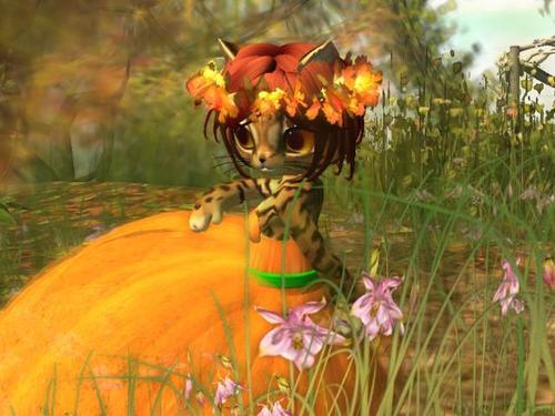 Web 5de52993d9859c7b9766499d