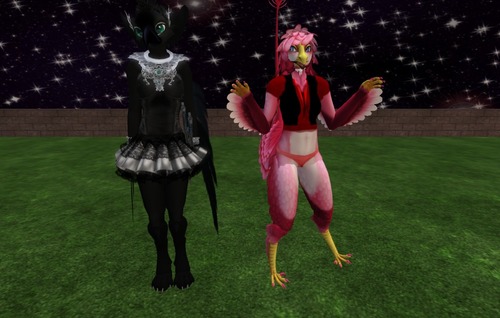 Web 5312a0788da572789e000001