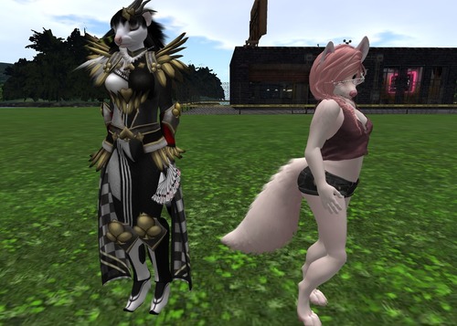 Web 5447622ff8a1ec153c000001