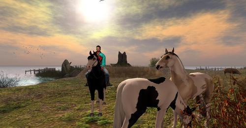 Web 5ef61a7073ed1735cbc96ef9