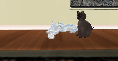 Web 51310a24b844b465cb000001