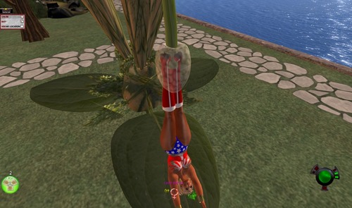 Web 57e9b5f6b015401079000001