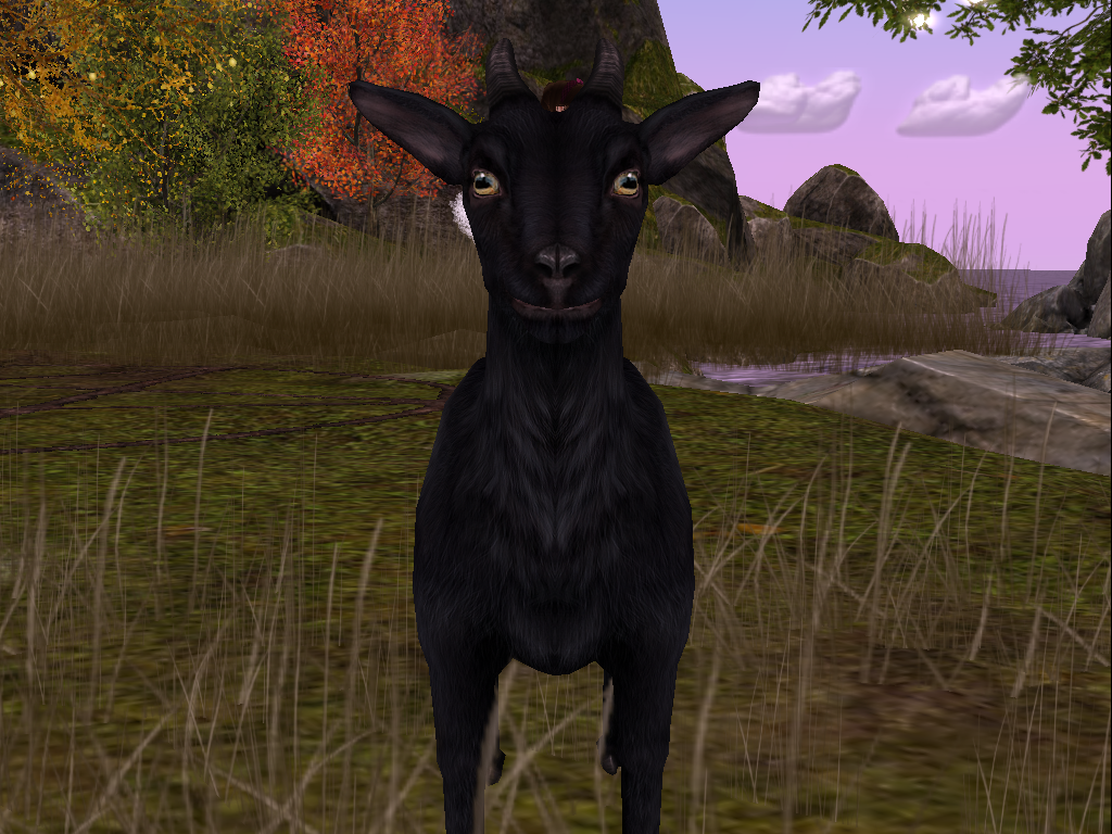 Original 5ee42a5a289dd20f0ca116f6