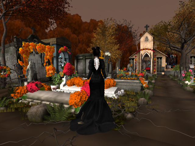 Original 6361cb58d84ca9798c10694b