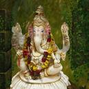 Thumb 5f28c7a7289dd2657737d98c