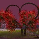 Thumb 605b086588f2cf5cad3467cc