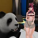 Thumb 6229a183c134816d4d78f302