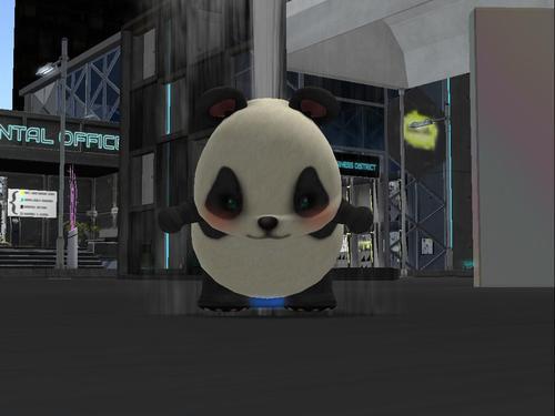 Web 5ed90823289dd21299c41038