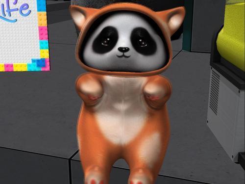 Web 5ed908c1289dd21832e7d9da