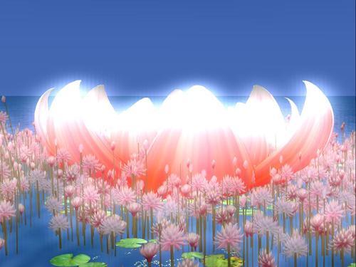 Web 5f28b9ce289dd203e95834dd