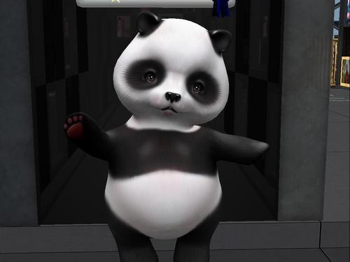 Web 5f31f89b289dd2089c5834dd