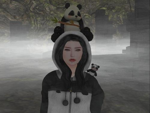 Web 5f32274773ed1749c9500937