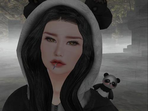 Web 5f322753d774f83a5241162e