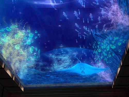 Web 5f35ecf4289dd2290a33d1c9