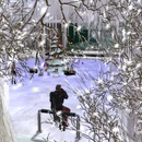 Thumb 5667522cf8a1ec4c67000001