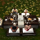 Thumb 5697dc319934e005c9000001