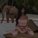 Thumb 56cb3536f8a1ec06f2000001