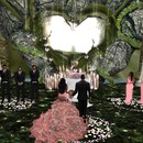 Thumb 56f44504f8a1ec5e72000001