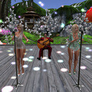 Thumb 6637d635712a7e2e4172798d