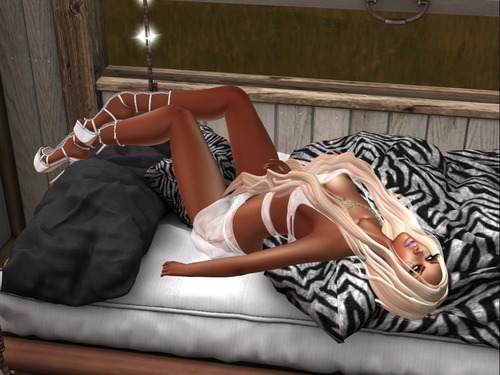 Web 56902a31128cc9412c000001