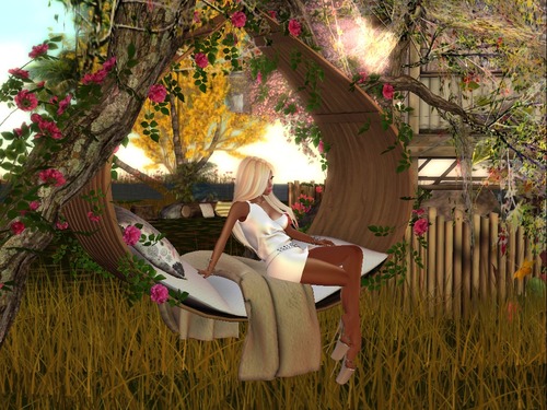 Web 569b6c80f8a1ec561a000001