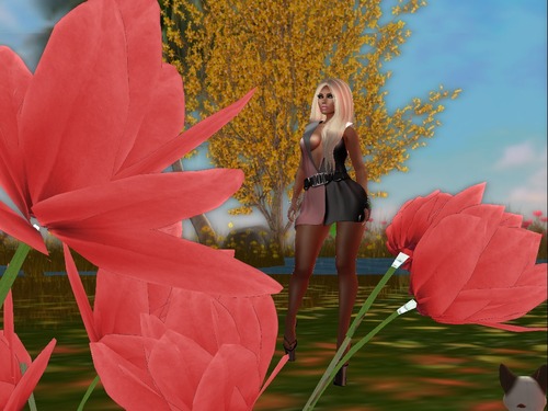 Web 569e4220128cc96fda000001