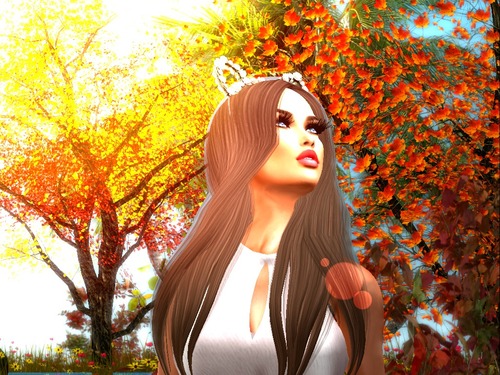 Web 56b335613f942f51b9000001