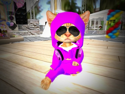 Web 56eb17a8b713f71e68000001